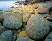 Granite shoreline, Freycinet NP