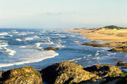 Tarkine coast
