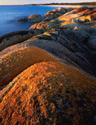 Bay of Fires 5, NE Tasmania