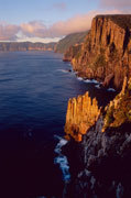 Tasman NP 3