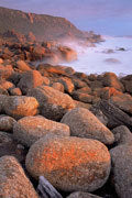Tasman NP 3