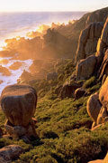 Tasman NP 3