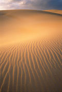 Tarkine dunes 2