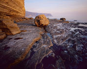 Tasman NP