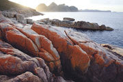 Lichen on granite, Freycinet NP