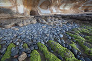 Detail, Painted Cliffs, Maria Island