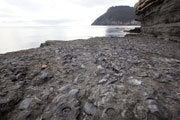 Fossil Cliffs, Maria Island