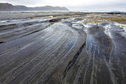 Sandstone shelf, south coast