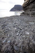 Fossil Cliffs, Maria Island National Park
