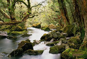 Great Western Tiers