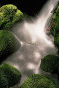 Cascade 2, Walls of Jerusalem NP