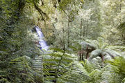 Angel Falls, Weld Valley