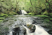 Waterfall, Cradle Mountain-Lake St Clair NP