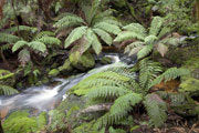 Headwaters of the South Esk River 2