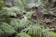 Headwaters of the South Esk River