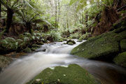 The Groom River, Blue Tier 2