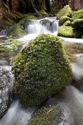 The Groom River, Blue Tier