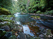 Rapid River 2, Tarkine
