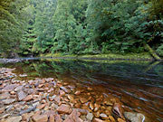 Rapid River 3, Tarkine