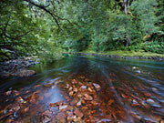 Rapid River 4, Tarkine
