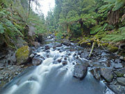 Coldstream R, Tarkine 2