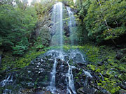 Tarkine falls