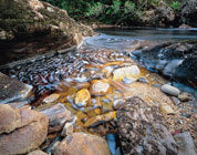 Rapid River 2, Tarkine
