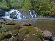 Huskisson catchment, Tarkine
