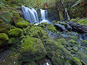 Huskisson catchment, Tarkine 2