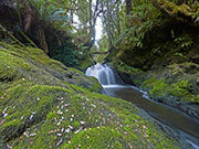 Tarkine cascade2