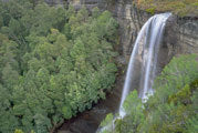 Near Cradle Mtn