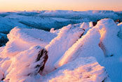 Cradle Mtn-Lk St Clair NP