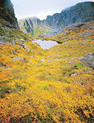 West Coast Range 5