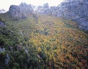 Autumn, West Coast Range