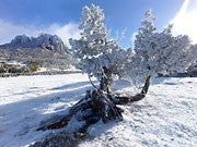 Ice rime, Walls of Jerusalem NP