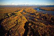 View to Denali