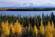 Wrangell Mtns, Alaska