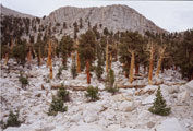 Western Sierra Nevada